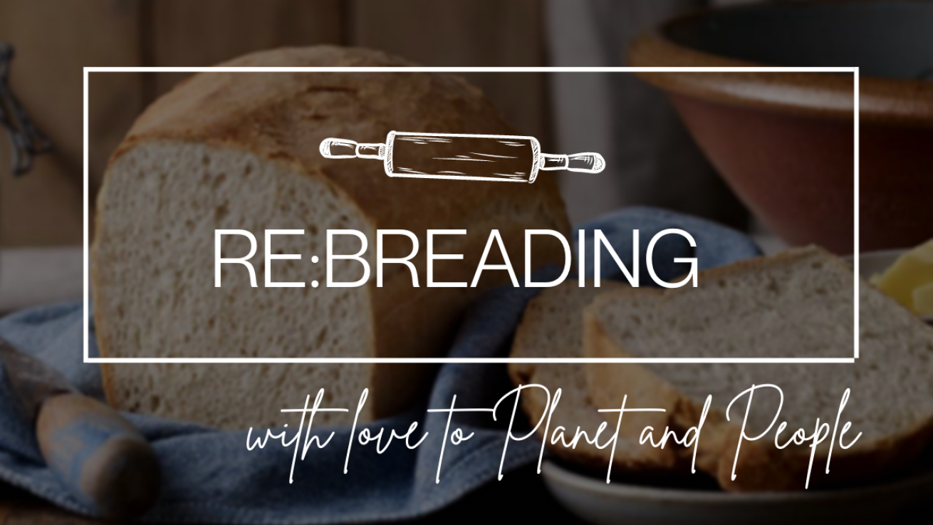 Το ευρωπαϊκό πρόγραμμα ReBreading αλλάζει το ψωμί όπως το ξέρουμε