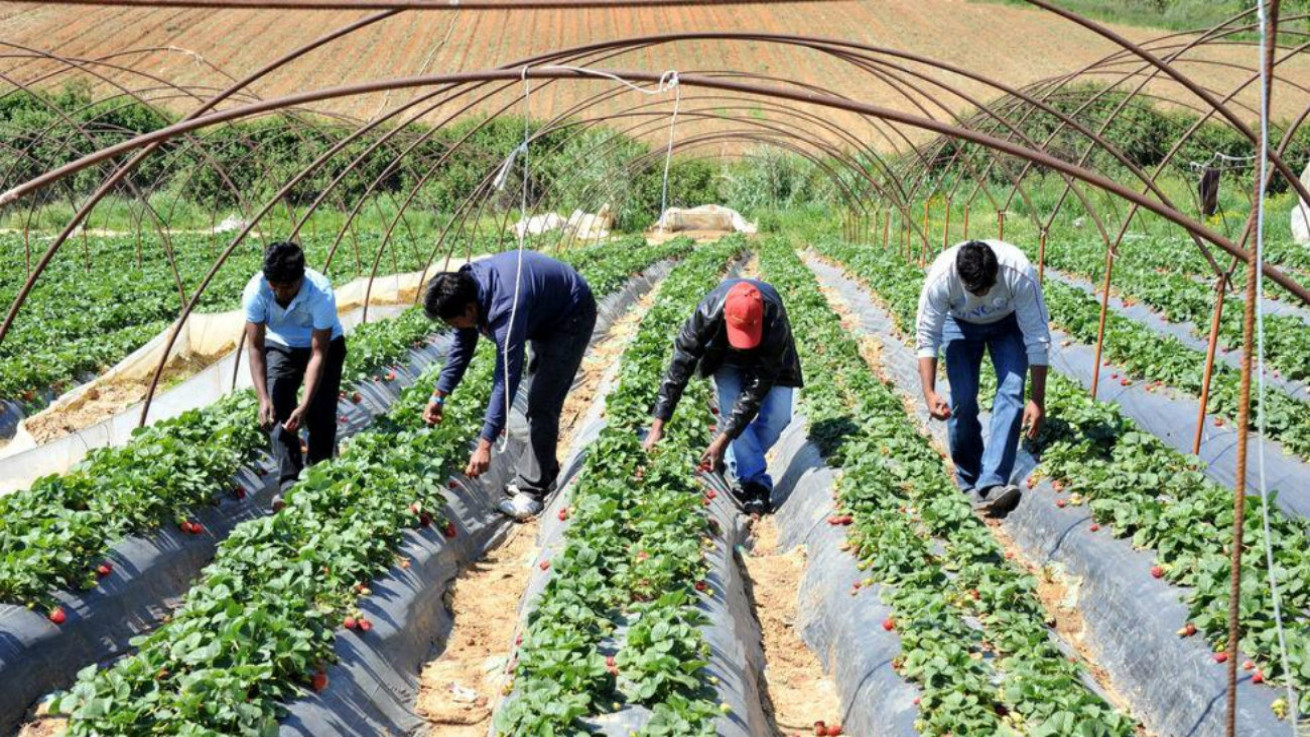 Οσμή εργασιακής σύγκρουσης λόγω εργατών τρίτων χωρών και ξενοδοχείων