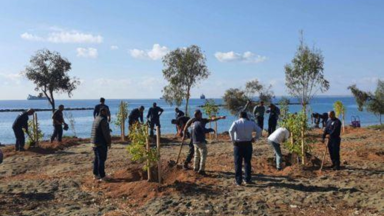 Δεντροφύτευση στο Δασούδι για αποκατάσταση καταστροφής από ανεμοστρόβιλο