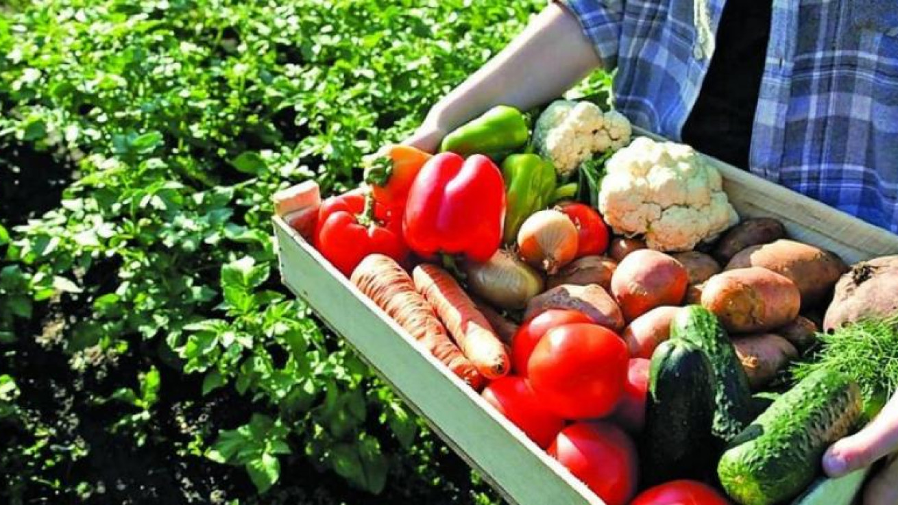 Μείωση 3,4% στις τιμές αγροτικών προϊόντων στην Κύπρο – Άνοδος στην ΕΕ