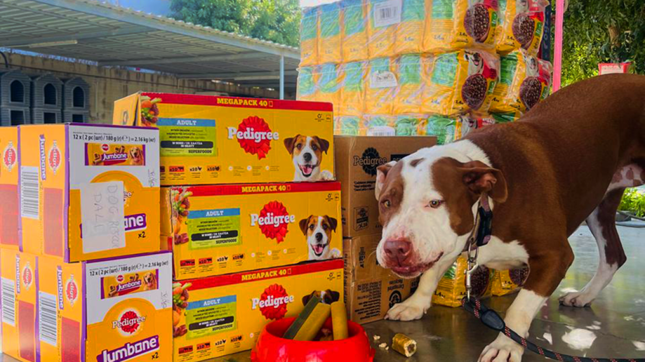 Η εκστρατεία ευαισθητοποίησης των Pedigree & Whiskas «Μαζί τα βοηθάμε» ξεπέρασε κάθε προσδοκία