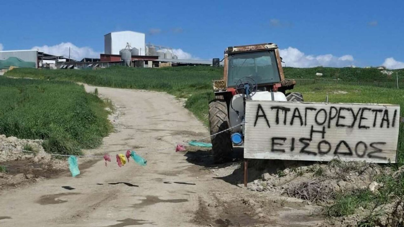 Στέλνει 529.000 δόσεις εμβολίων, παρέκκλιση για εξαγωγές χαλλουμιού σε ΕΕ λέει η Κομισιον