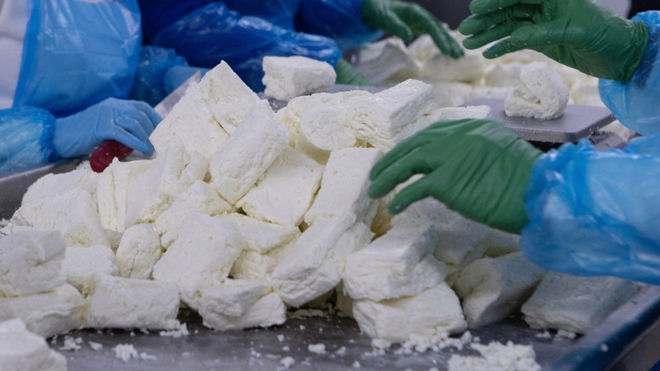 «Σκιές» στην οικονομία από τον αφθώδη πυρετό – Πλήγμα στις εξαγωγές και σενάρια για εμπάργκο