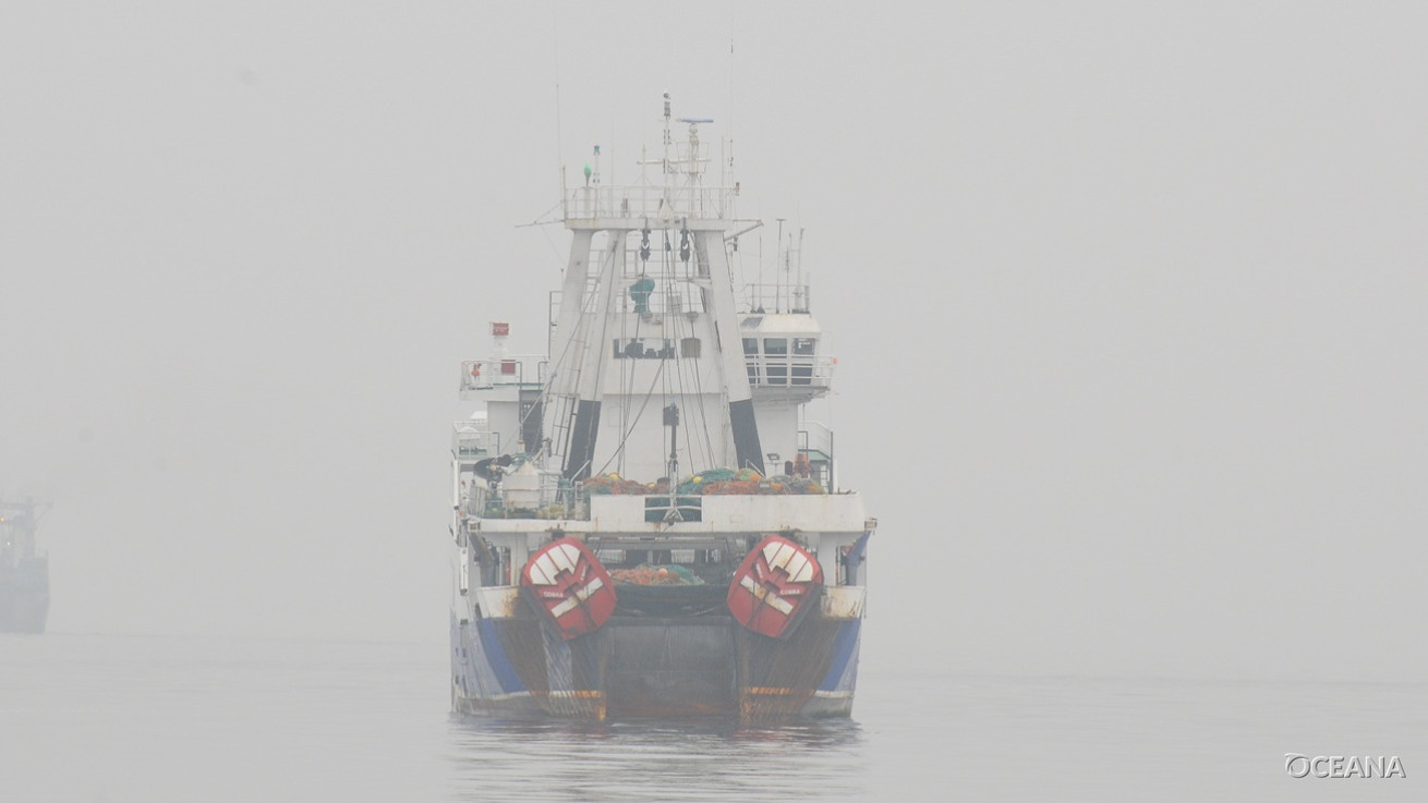 Η Oceana καταθέτει οδικό χάρτη για έναν ανθεκτικό και ανταγωνιστικό τομέα θαλάσσιων τροφίμων έως το 2040