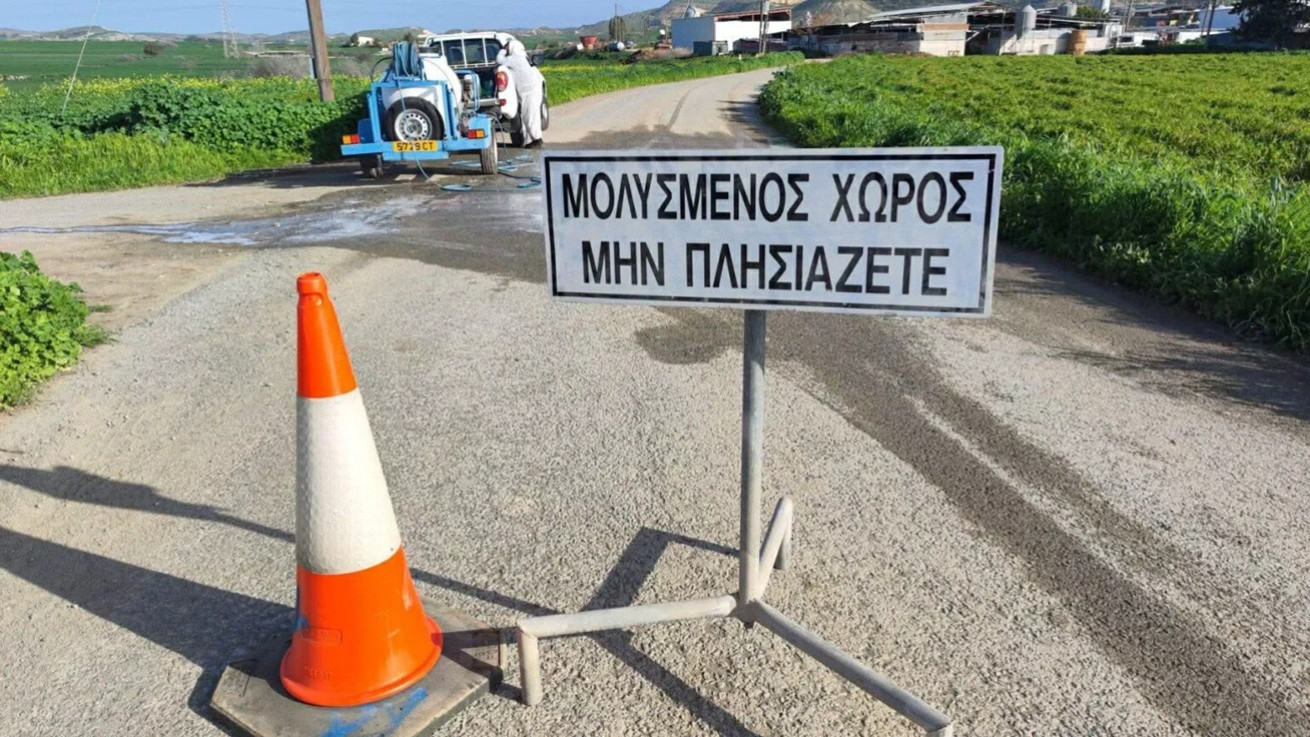 Αφθώδης πυρετός: Δεν υπάρχουν εναλλακτικά πρωτόκολλα - Κτηνοτρόφοι προειδοποιούν με νέες δυναμικές κινητοποιήσεις