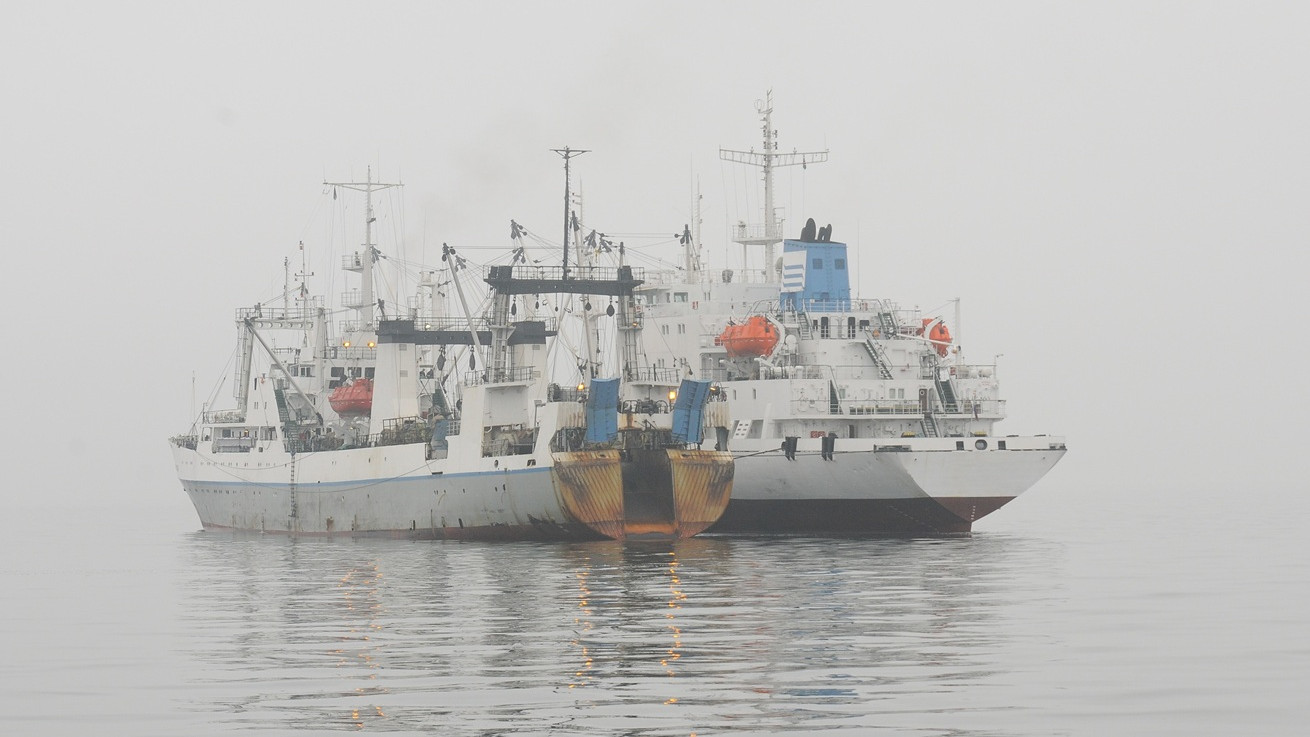 Η Oceana καλεί την Κυπριακή κυβέρνηση να αποκαλύψει την κρυφή ιδιοκτησία αλιευτικών σκαφών υψηλού κινδύνου