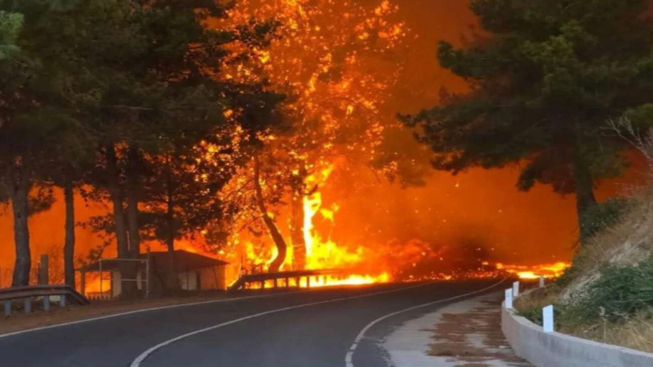 Στήριξη για τις πυρόπληκτες περιοχές της Κύπρου και ισχυρότερη Πολιτική Προστασία - Σκιώδης εισηγητής ο Χατζηπαντέλα