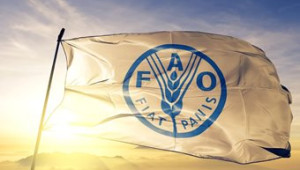 Οι παγκόσμιες τιμές τον Απρίλιο: Σε ιστορικό ρεκόρ ο δείκτης κρέατος, μικρή αποκλιμάκωση για φυτικά έλαια και δημητριακά