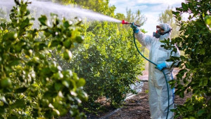 Μελέτη: Δραματική αύξηση φυτοφαρμάκων σε φρούτα και λαχανικά στην Ε.Ε