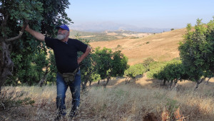 «REACT4MED»: Πρόγραμμα αποκατάστασης αγρο-οικοσυστημάτων στη Μεσόγειο, με τη συμμετοχή του ΙΚυ