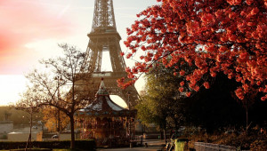 Δέντρα που μπορούν να επιβιώσουν στην κλιματική αλλαγή σχεδιάζει να φυτέψει το Παρίσι