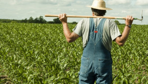 Μόλις 574.358 ευρώ για στήριξη Κυπρίων γεωργών από την Κομισιόν