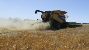 Καταστράφηκαν 40.000 τόνοι σιτηρών από ρωσικές επιθέσεις στην Ουκρανία