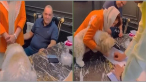 Μεταβίβασε διαμέρισμα σε σκύλο και τον συνέλαβαν