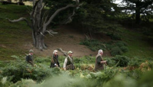 Τα χόμπι σχετίζονται με καλύτερη ψυχική ευεξία των ατόμων άνω των 65 ετών