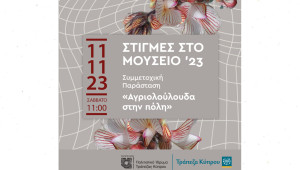 Συμμετοχική παράσταση 