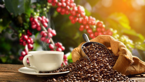 Έρχεται ο συνθετικός καφές: Φθηνός και «πράσινος»