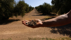 «Φωτιά» στις τιμές των τροφίμων βάζει η κλιματική κρίση