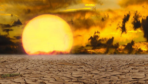 Μισό εκατομμύριο άνθρωποι χάνουν τη ζωή τους από υπερβολική ζέστη κάθε χρόνο