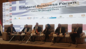 Τριμερής Σύνοδος Κορυφής Κύπρου, Ελλάδας και Αιγύπτου - Μνημόνιο Συνεργασίας Invest Cyprus, Enterprise Greece, και GAFI