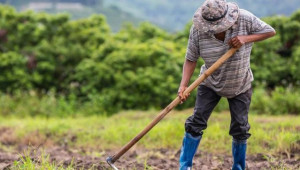 Νέο επενδυτικό σχέδιο ΚΑΠ ύψους €60 εκ. για τους αγρότες παρουσίασε η Υπ. Γεωργίας