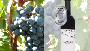 Το Γιαννούδι και η συμβολή της ΚΕΟ στην κυπριακή οινοποιία