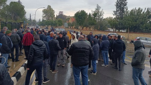 Aναληθή στοιχεία από τους αιγοπροβατοτρόφους για το χαλλούμι