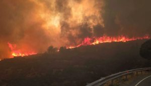 Τα ξενοδοχεία στηρίζουν τους πυρόπληκτους - Πρωτοβουλία ΠΑΣΥΞΕ