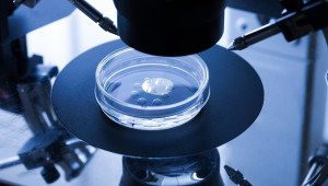 Το πρώτο εργαστήριο που δημιουργεί έμβρυα με ρομπότ και τεχνητή νοημοσύνη