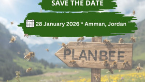 Από τις κυψέλες στους ορίζοντες: Χτίζοντας μια βιώσιμη  Οικονομία των Μελισσών στην Ιορδανία