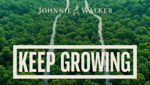 Keep Growing – Diageo και Johnnie Walker Black Label υλοποιούν πρόγραμμα αναδάσωσης πυρόπληκτων περιοχών στην Κύπρο