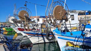 9 στους 10 Κύπριους παράκτιους αλιείς δηλώνουν ότι η κρατική παρέμβαση δεν επαρκεί για τη διασφάλιση του μέλλοντος του κλάδου