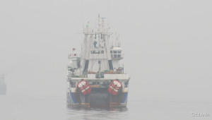 Η Oceana καταθέτει οδικό χάρτη για έναν ανθεκτικό και ανταγωνιστικό τομέα θαλάσσιων τροφίμων έως το 2040