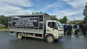 Κατασκηνώνουν επ’ αόριστον στη Ριζοελία οι κτηνοτρόφοι