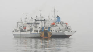 Η Oceana καλεί την Κυπριακή κυβέρνηση να αποκαλύψει την κρυφή ιδιοκτησία αλιευτικών σκαφών υψηλού κινδύνου