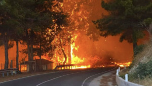 €9,2 εκατ. στην Κύπρο από το Ταμείο Αλληλεγγύης της ΕΕ για τις καταστροφικές πυρκαγιές 2025