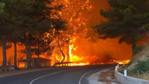 Στήριξη για τις πυρόπληκτες περιοχές της Κύπρου και ισχυρότερη Πολιτική Προστασία - Σκιώδης εισηγητής ο Χατζηπαντέλα
