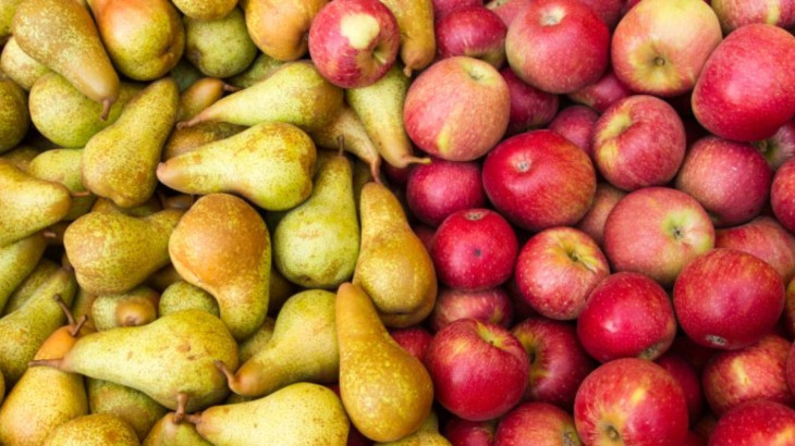 Στενεύουν τα αποθέματα μήλων και αχλαδιών στην Ευρώπη