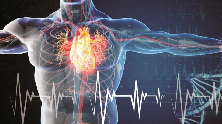 Εργαλείο τεχνητής νοημοσύνης προβλέπει έγκαιρα τα καρδιακά επεισόδια
