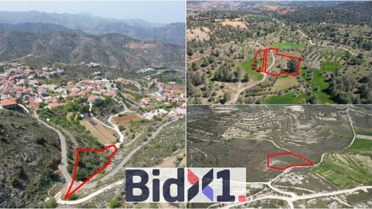 Αντίστροφη μέτρηση για τη νέα δημοπρασία της BidX1-Ακίνητα από μόλις €100