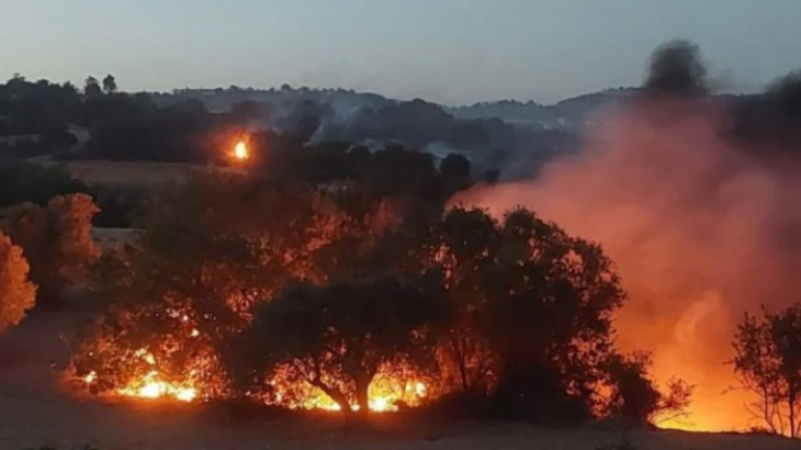 Στην Κύπρο η ATF των ΗΠΑ για τις πυρκαγιές – Ξεκινούν έρευνες την Πέμπτη