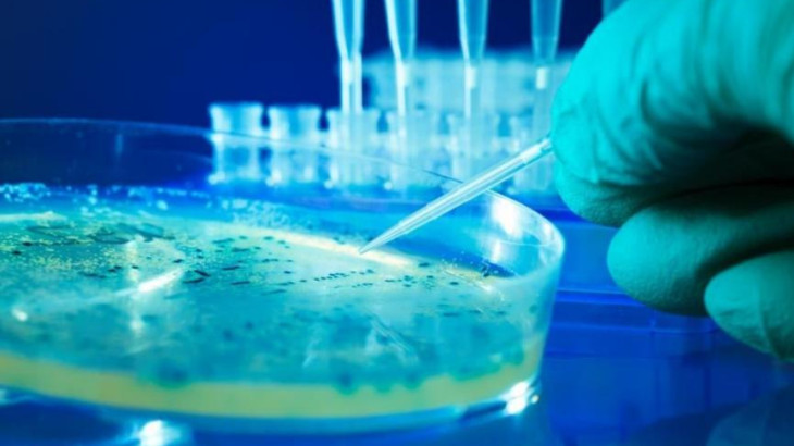 Επιστήμονες δημιούργησαν τους πρώτους ιούς που σχεδιάστηκαν από AI