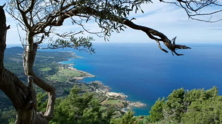 Ευρωπαϊκή διάκριση για την Πάφο, που γράφει τη δική της «πράσινη ιστορία»