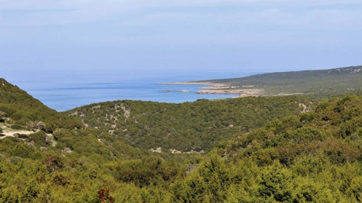 €1,27 εκατ. για έργα που προστατεύουν και αναδεικνύουν τα δάση της Κύπρου