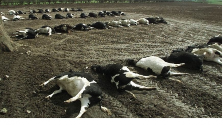 Παναγροτικός Σύνδεσμος: «Κλειδί» η πρόληψη για αποφυγή αφθώδη πυρετού