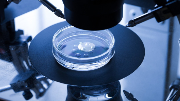 Το πρώτο εργαστήριο που δημιουργεί έμβρυα με ρομπότ και τεχνητή νοημοσύνη