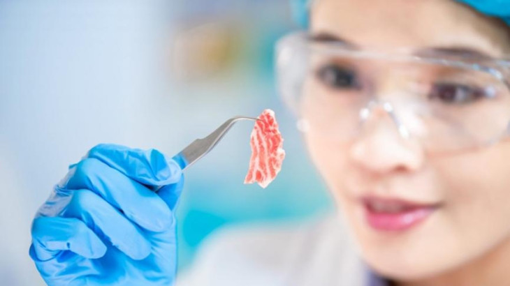 Το τεχνητό «κρέας» δεν είναι κρέας: Μετά τα ράφια, η Ε.Ε. βάζει «μπλόκο» και στη λέξη