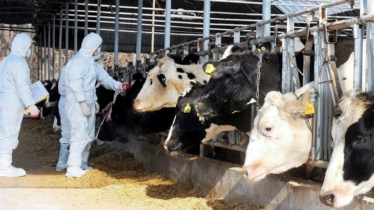 Αφθώδης πυρετός: Άλλα €6,35 εκατ. για στήριξη των κτηνοτρόφων ενέκρινε το ΥΣ