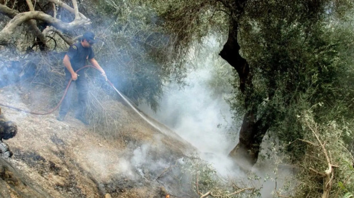 Οι φωτιές απειλούν το ελαιόλαδο - Φόβοι για ράλι τιμών