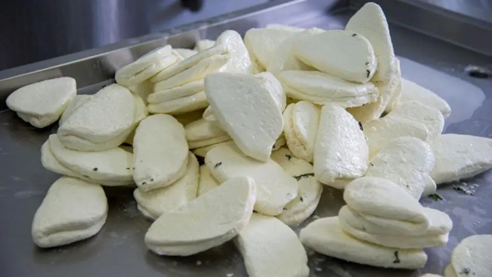 Δεν τίθεται θέμα για το χαλούμι ΠΟΠ - Kαθησυχαστικός ο Σ. Καδής